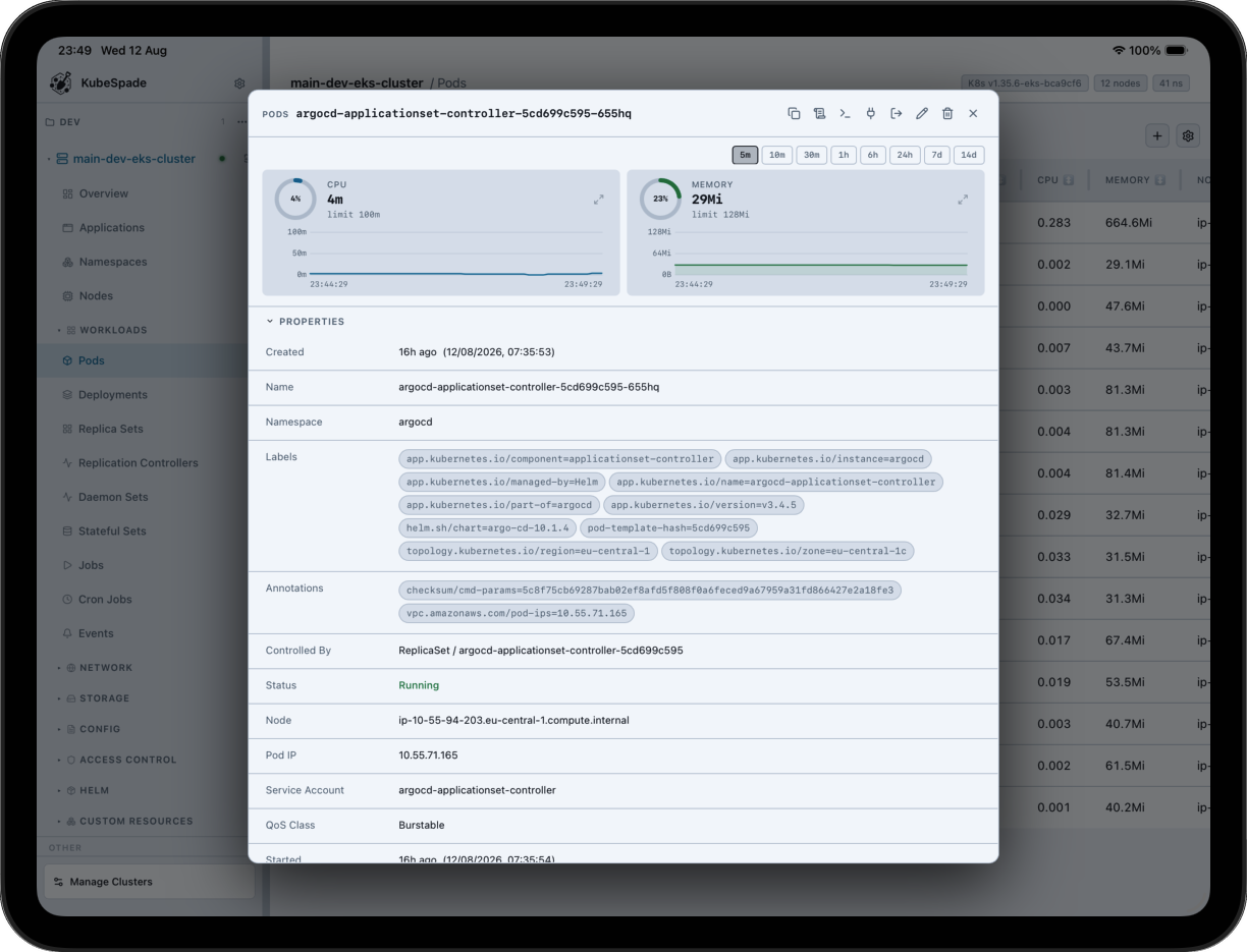 KubeSpade iPad pods table in light theme